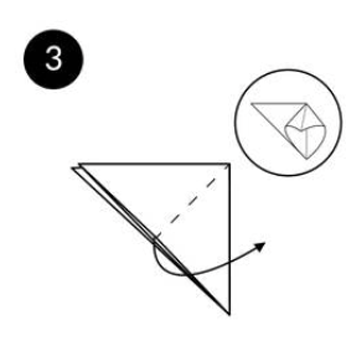 Step 3 image